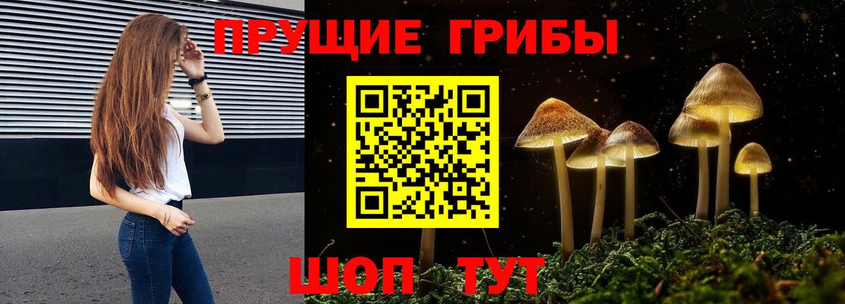 Галлюциногенные грибы Psilocybine cubensis  Вход с VPN  цены   Набережные Челны 