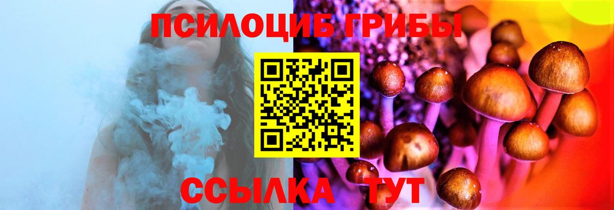 Псилоцибиновые грибы Cubensis Набережные Челны
